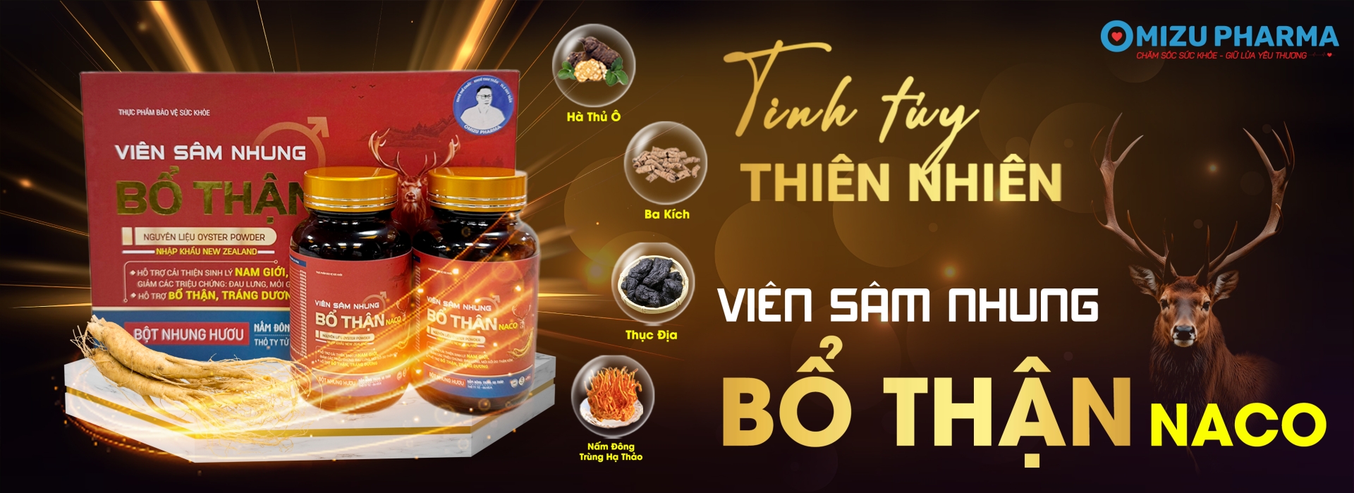 Bổ thận
